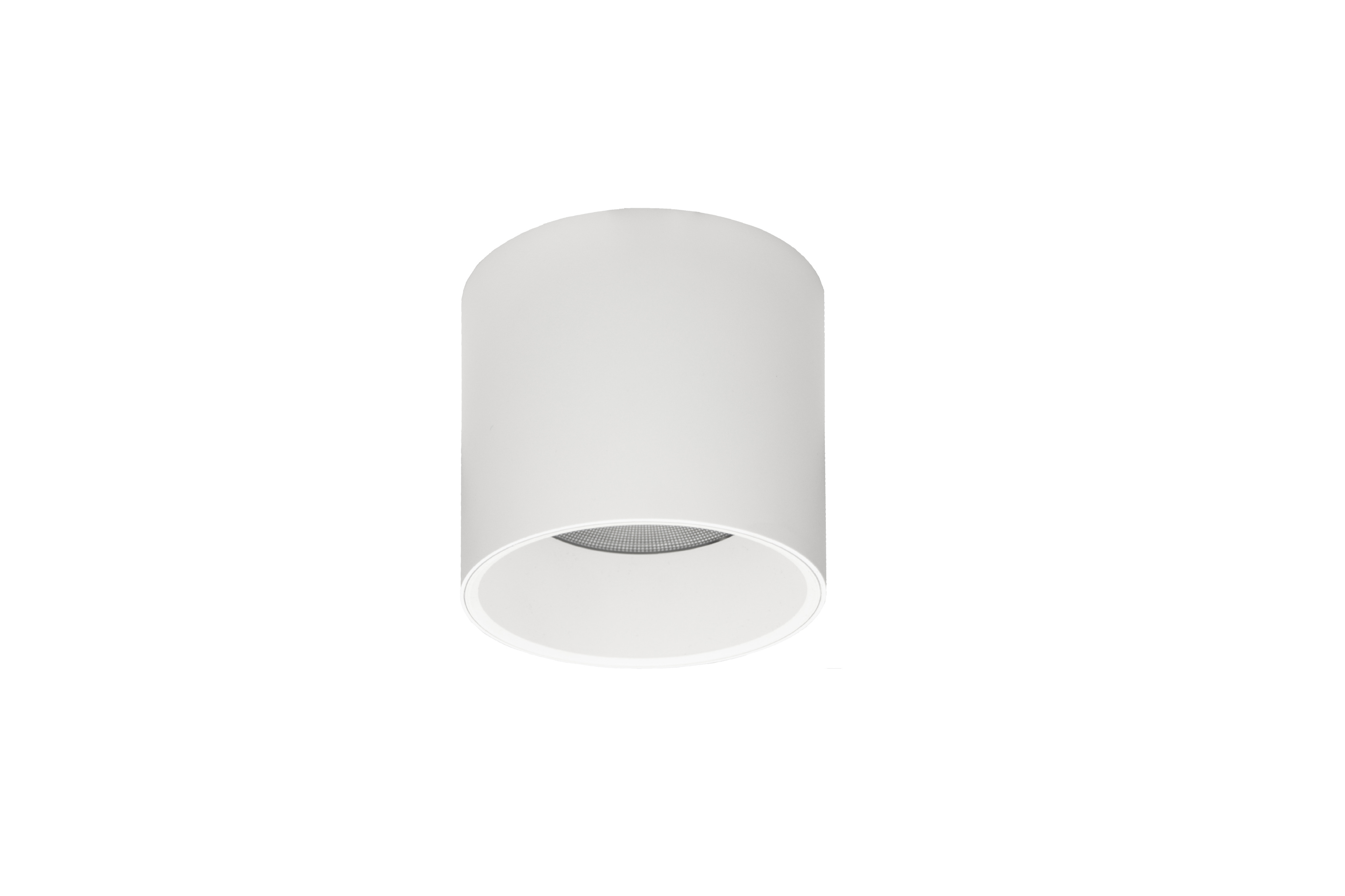 LED stropna svetilka NDL2012/LED, bela, IP54